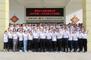 總結(jié)過去，計劃未來，協(xié)同創(chuàng)新，再創(chuàng)佳績！洛陽正大舉行2023年上半年工作總結(jié)會議